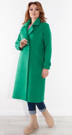 Fashionable laconic coat