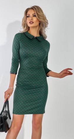 Laconic dress with a collar