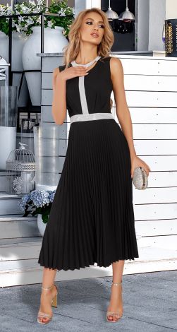 Stylish elegant pleated dress