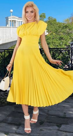 Dress with pleated skirt