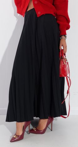 Long pleated skirt