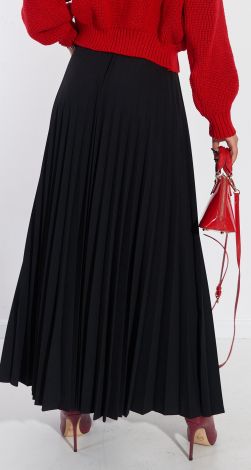 Long pleated skirt