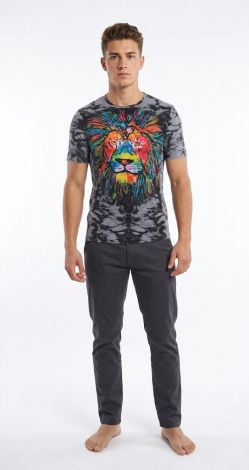 Graphic Rainbow Lion T-Shirt (Dark Tie-Dye Marble)