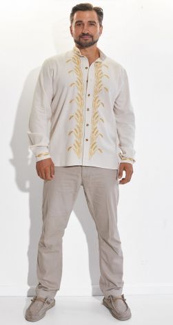 Чоловічі сорочки