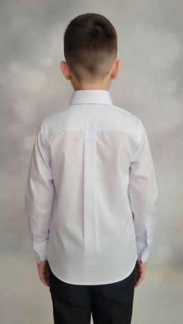 An ideal shirt for a boy!
