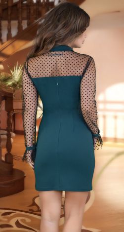 Fitted dress with a collar