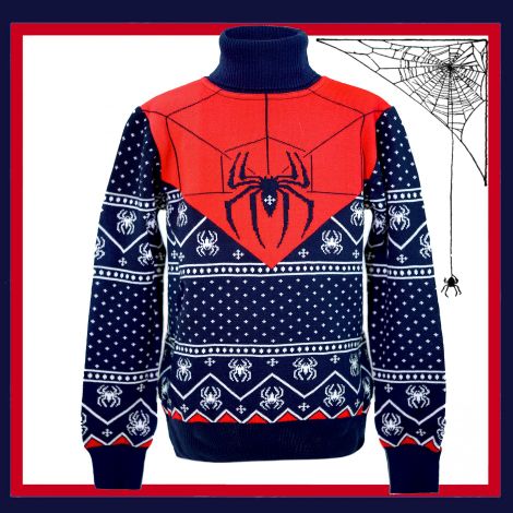 spider sweater
