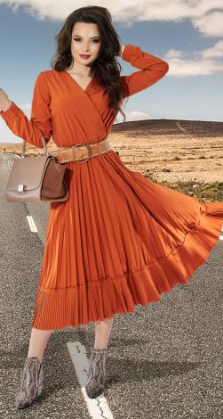 Dress with a beautiful pleated skirt