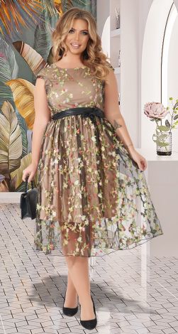 Elegant plus size dress with embroidery